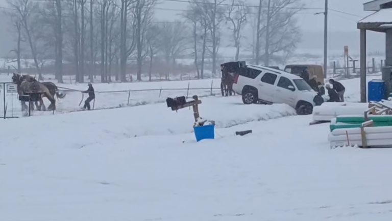 Amish Help Rescue SUV Stuck In The Snow