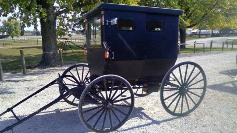 Horse And Buggy Stolen From Walmart Parking Lot