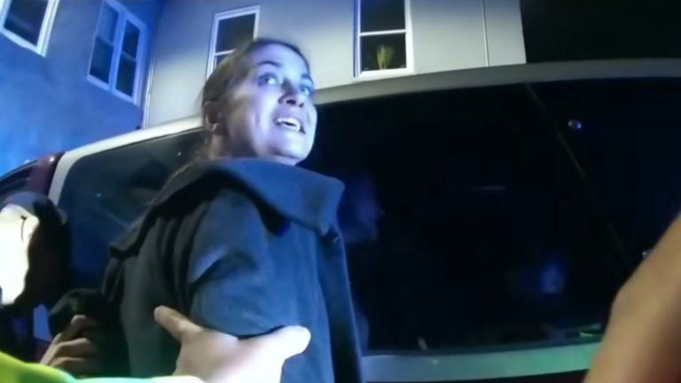 Woman Turns Traffic Stop Into Assault On An Officer 3