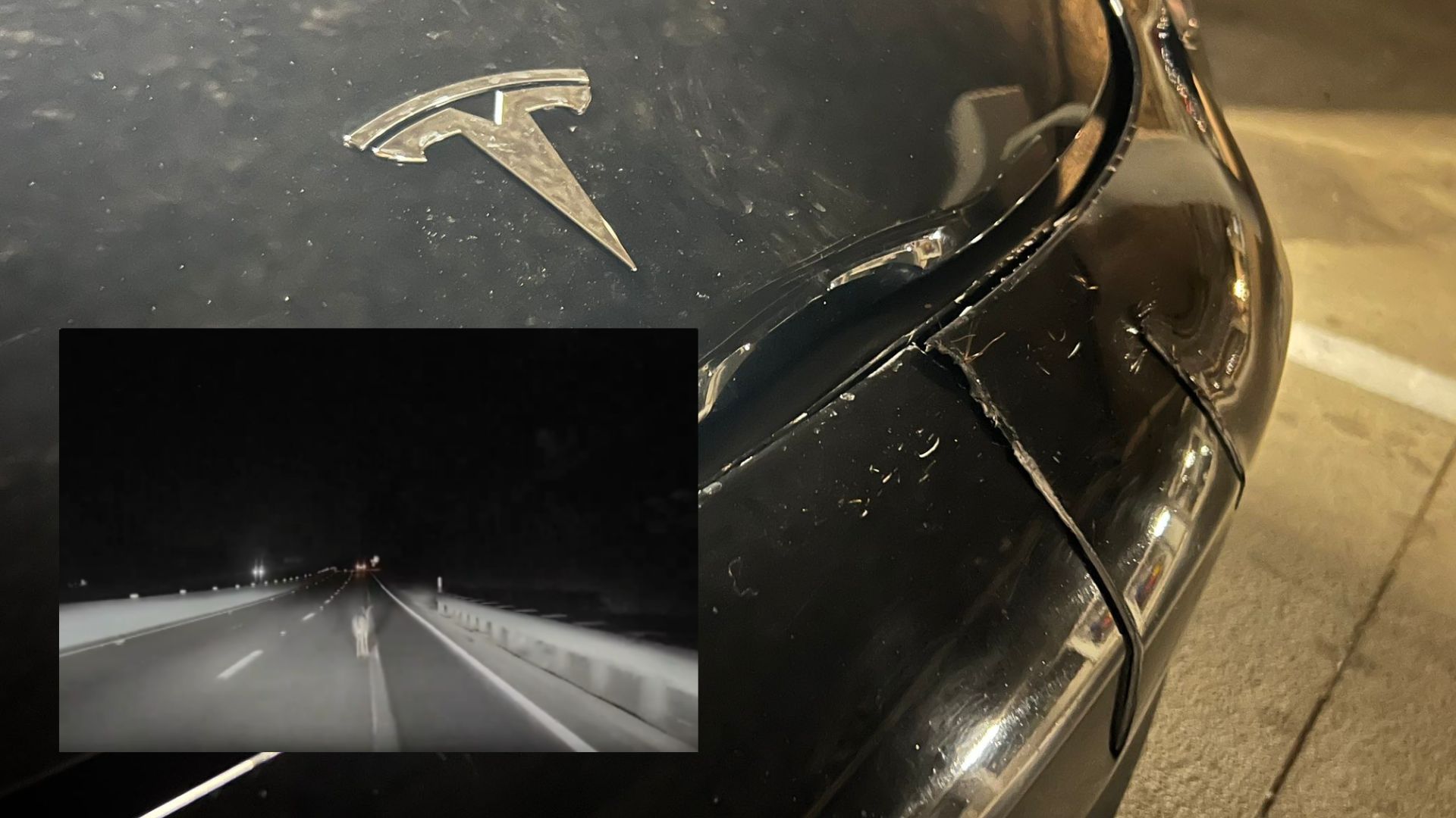 Tesla In Full Self Driving Hits A Deer Without Stopping