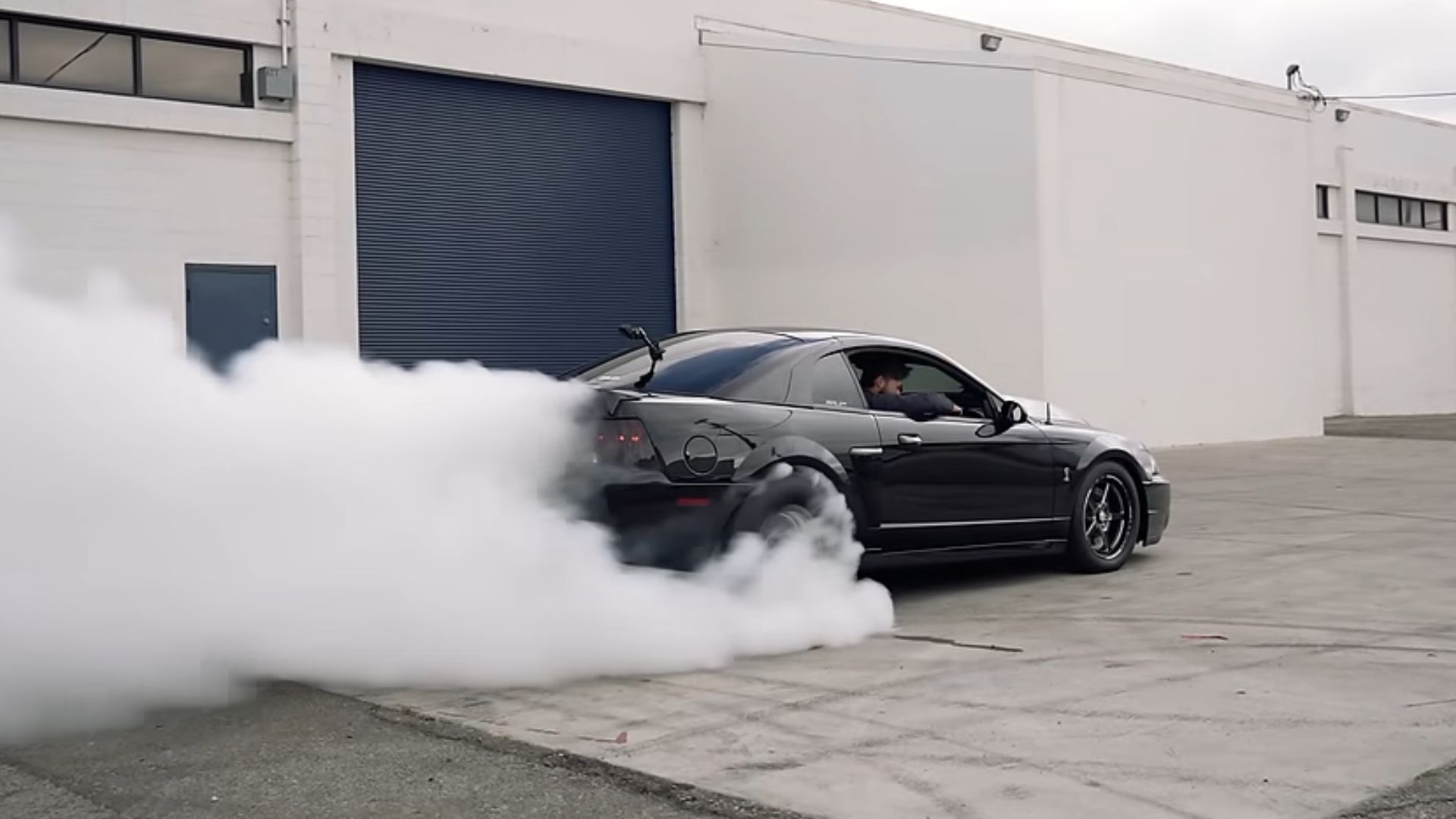 This Cobra Is Ready To Terminate The Competition