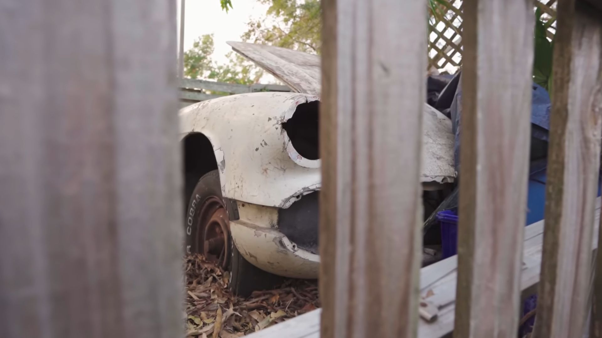 Rescued C1 Corvette Was Fenced In By Late Owner