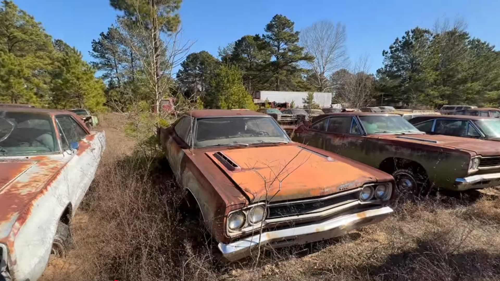 As Far As The Eye Can See This Hoard Of Classic Cars Is Unbelievable