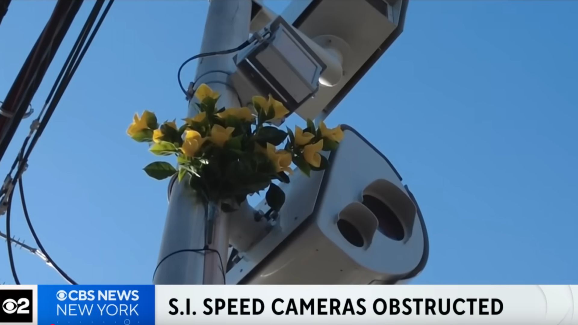Someone Is Covering Speed Cameras Up With Fake Flowers