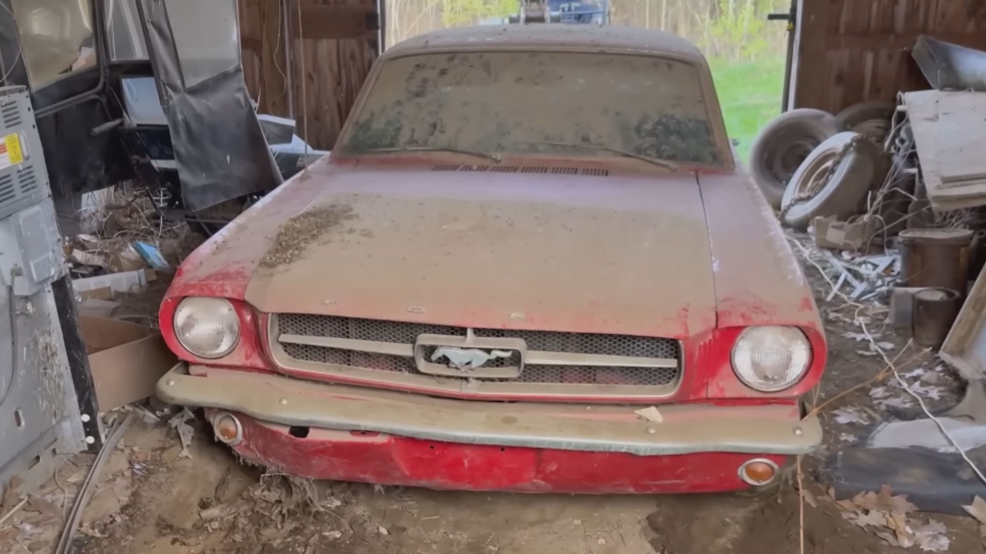 1964.5 Mustang Barn Find Sat For 45 Years