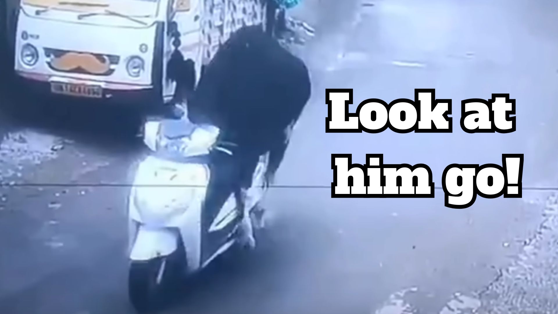 Absolutely Amazing Bull Rides A Scooter In India