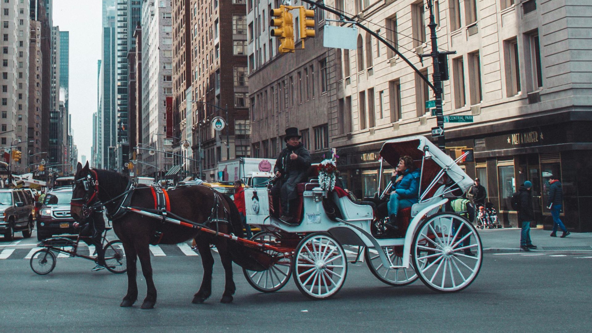 Repeat Drunk Driver Takes A Horse And Buggy Around Town