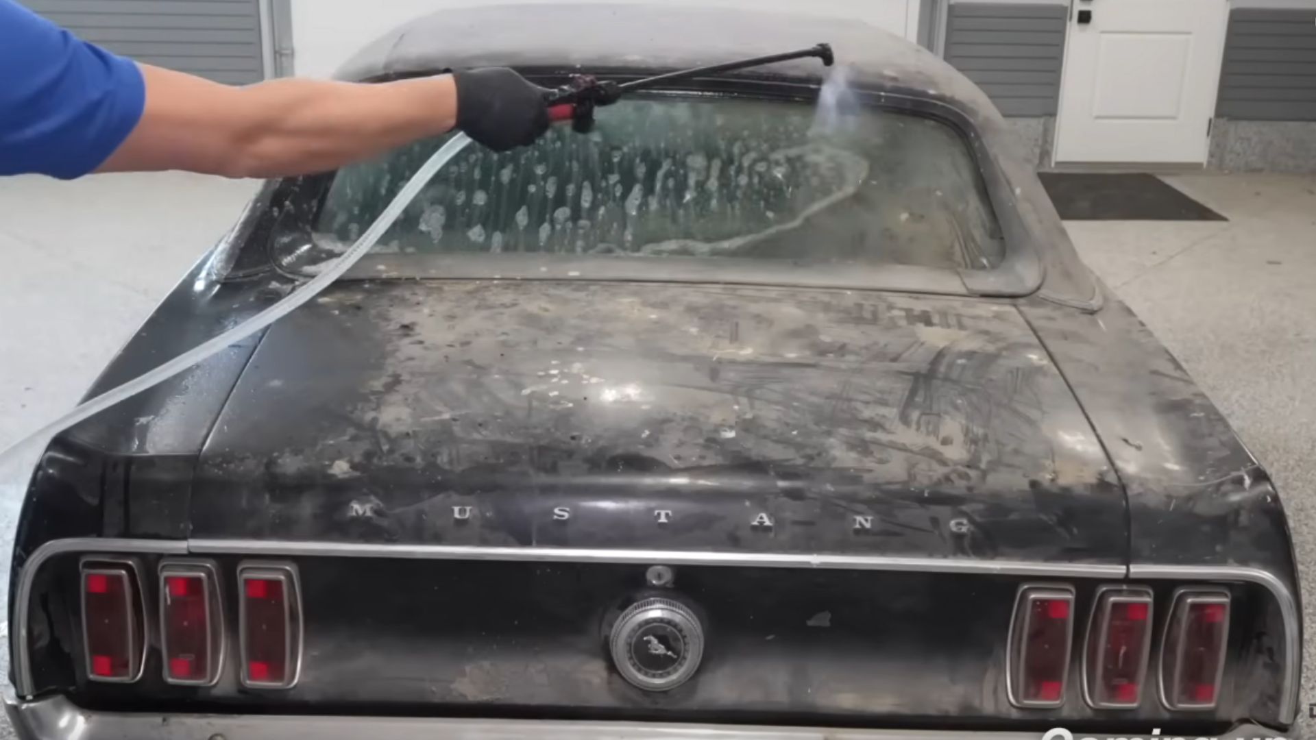 Two Abandoned Mustangs Get Deep Cleaned