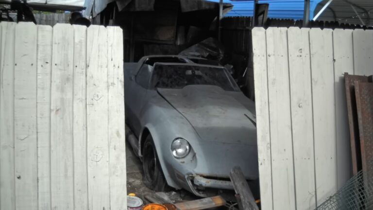 Ultra Rare Corvette Motion Manta Ray Randomly Discovered