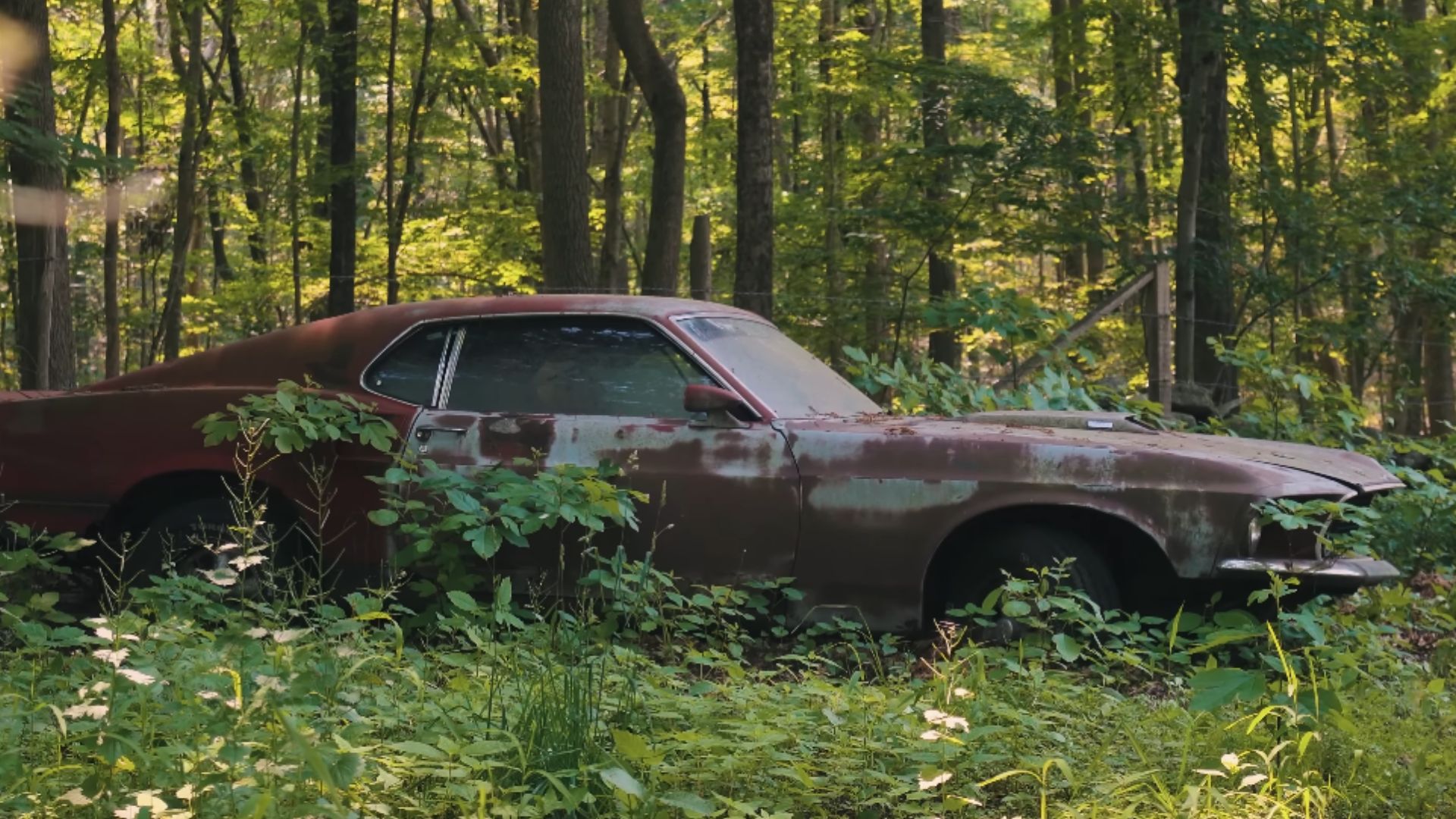 Abandoned 1969 Mustang Recovery Is A Mess