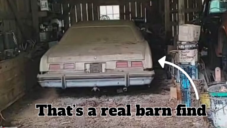 This Is What A Real Barn Find Car Looks Like