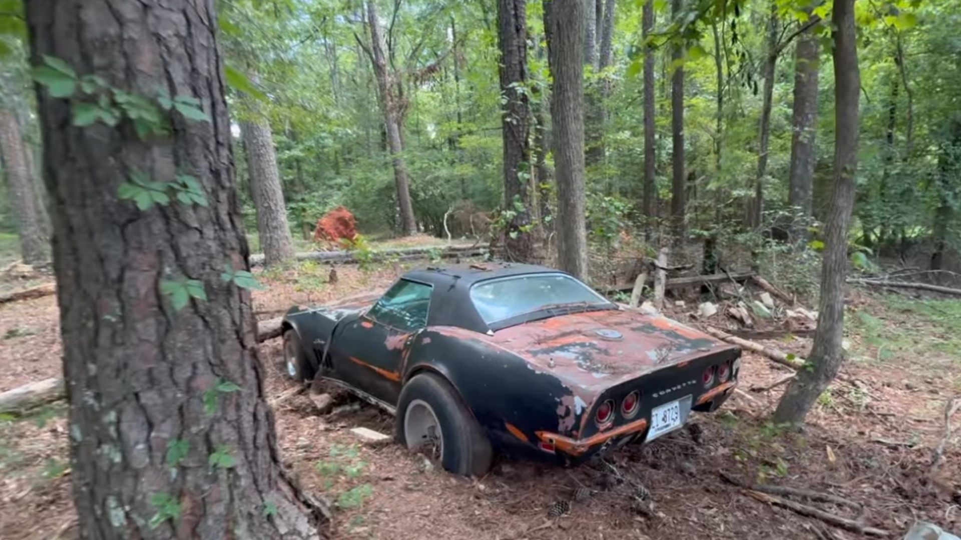 Someone Just Parked This 1968 Corvette 427 In The Woods
