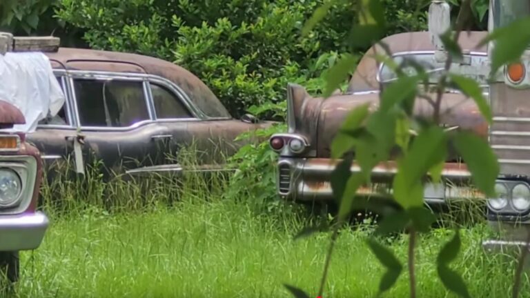 YouTuber Randomly Discovers A Rare Cadillacs Stash