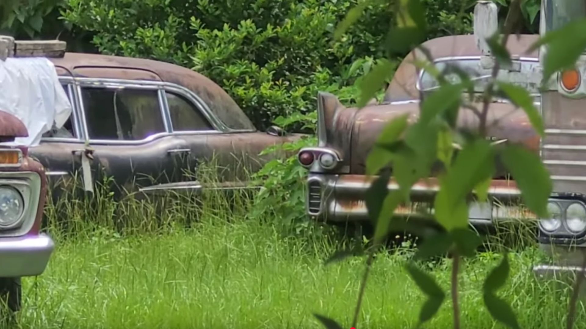 YouTuber Randomly Discovers A Rare Cadillacs Stash