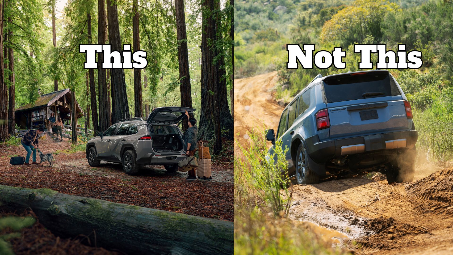Why Todays Car Market Loves Soft Crossovers