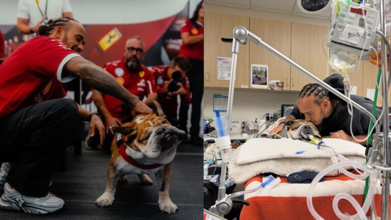 Lewis Hamilton Skips Ferrari Test For His Dog