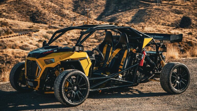 Polaris RZR Modified By Porsche Sells For