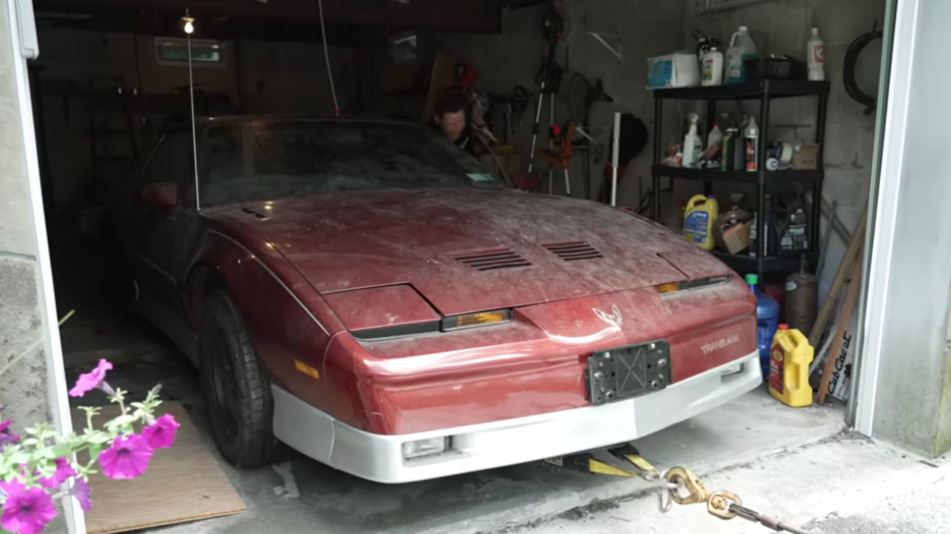 Pontiac Trans Am Rescued After 30 Years Of Sitting