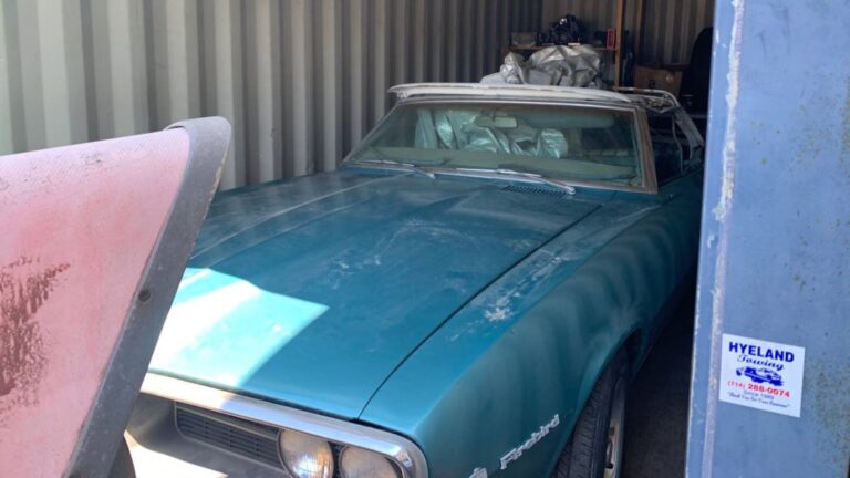 firebird-652
