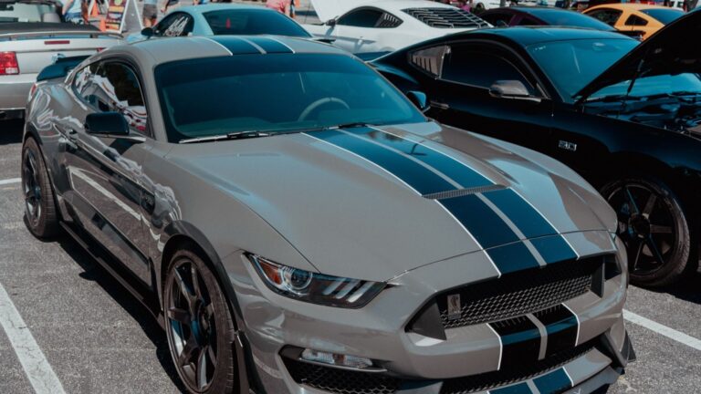 mustang-week-1299