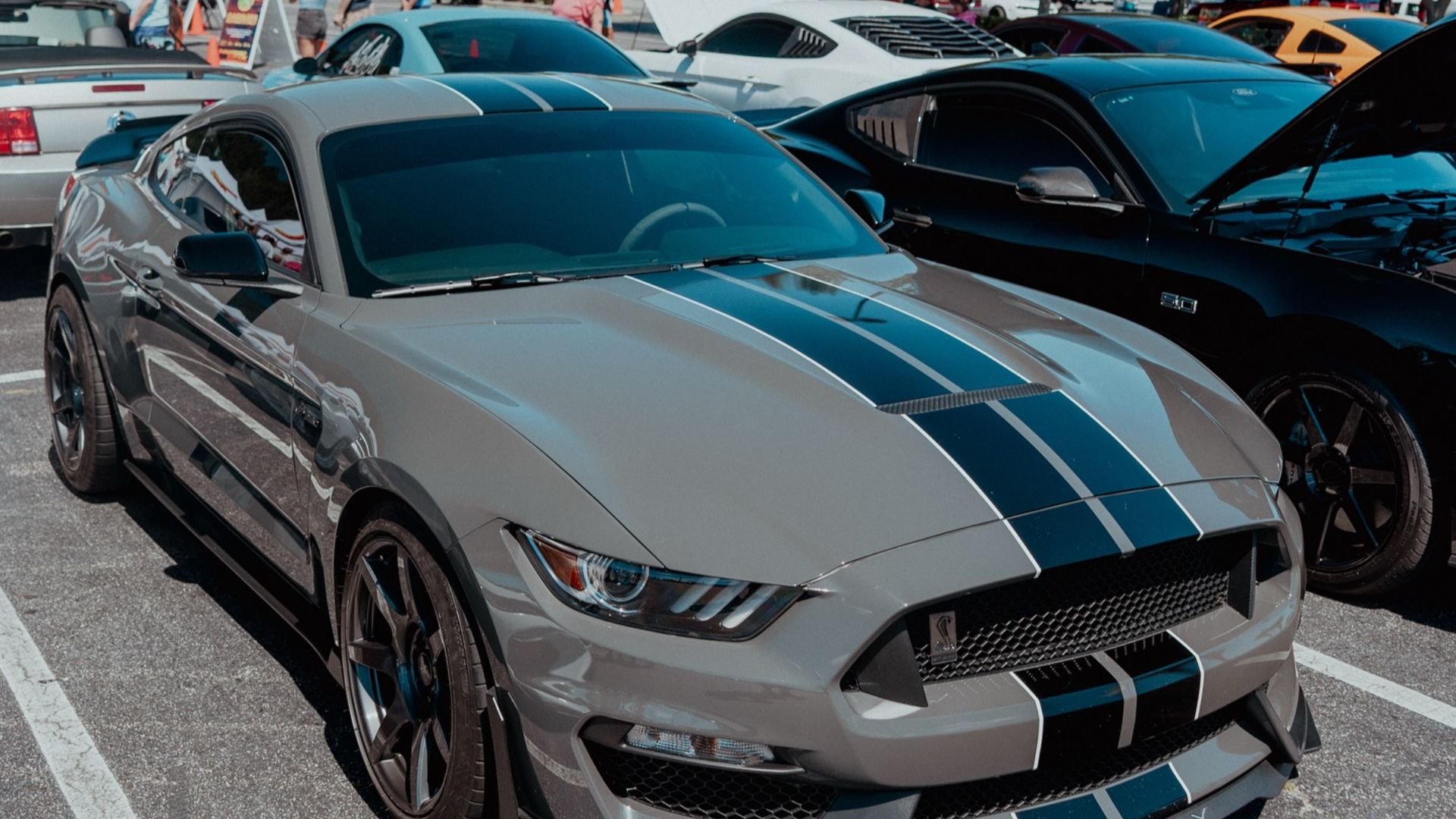 mustang-week-1299
