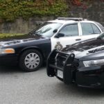 Police cruiser representing law enforcement response to a stolen vehicle call