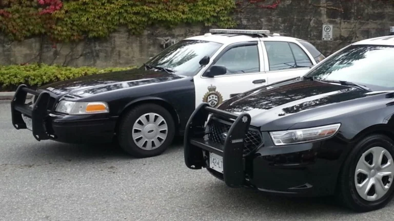 Police cruiser representing law enforcement response to a stolen vehicle call