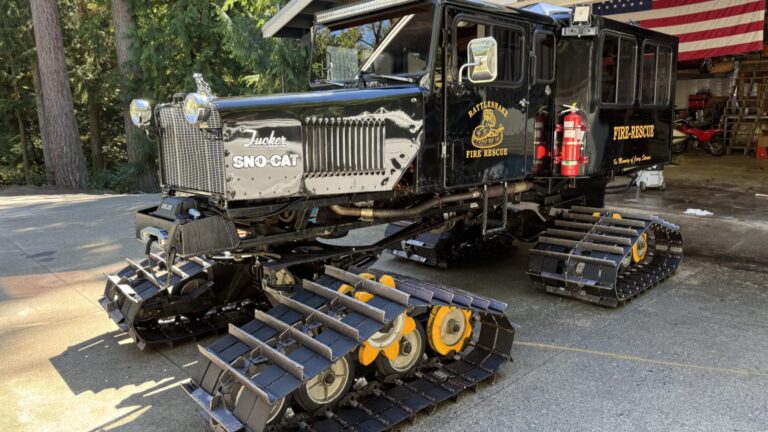 sno-cat-1186