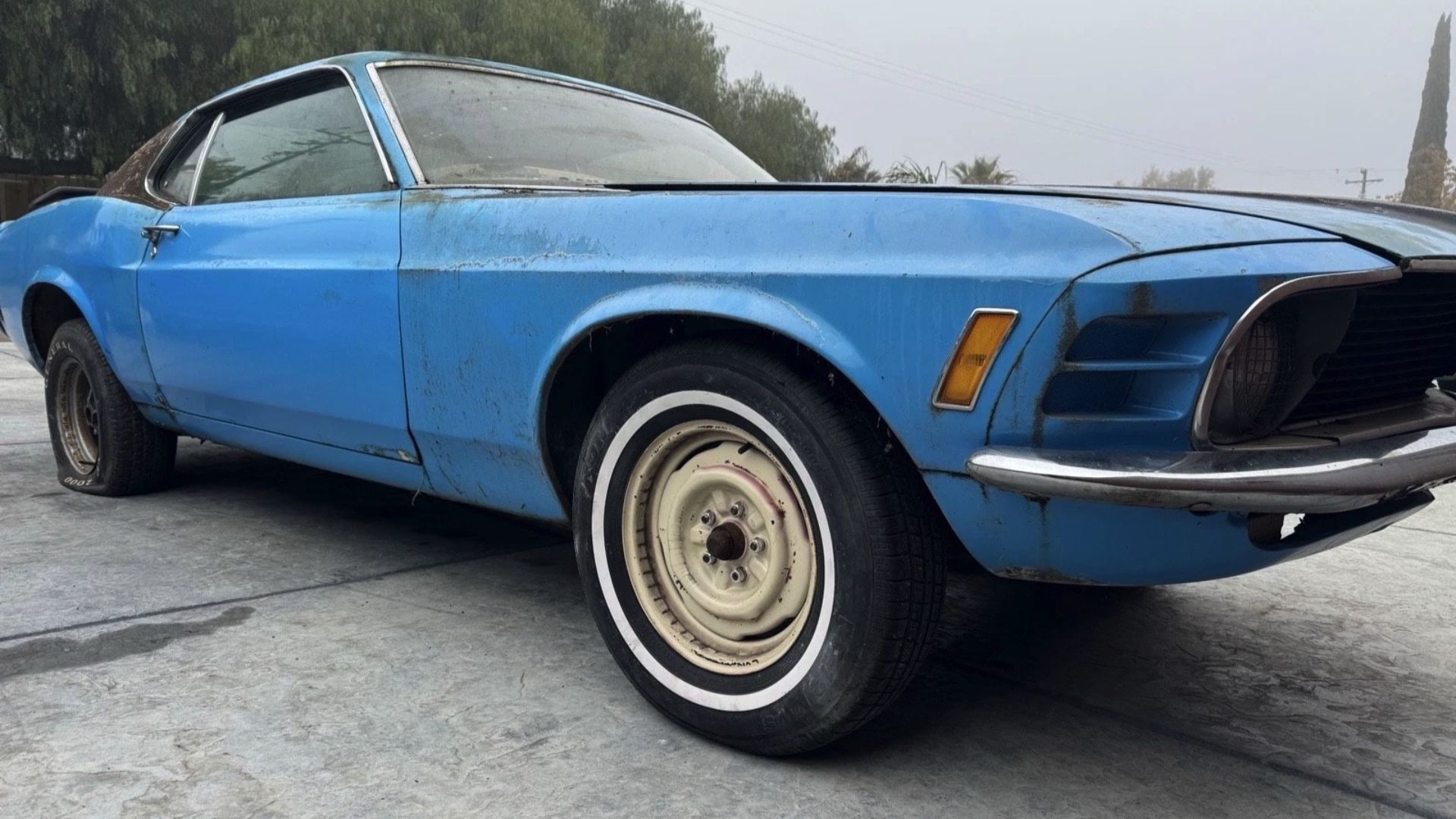 ebay-mustang-2868