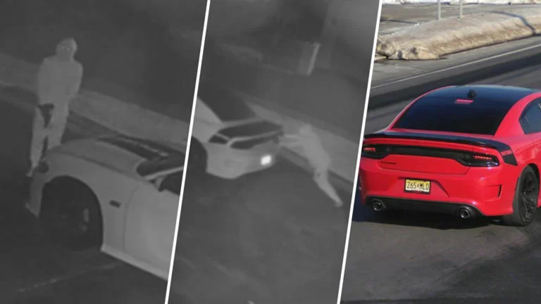 AA1YWFaj