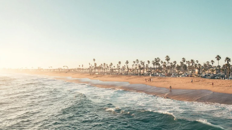 people on beach during daytime