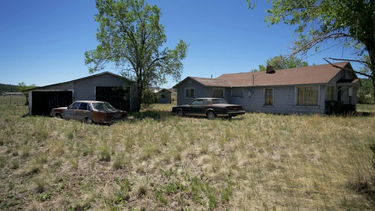 Two cars parked in front of a house