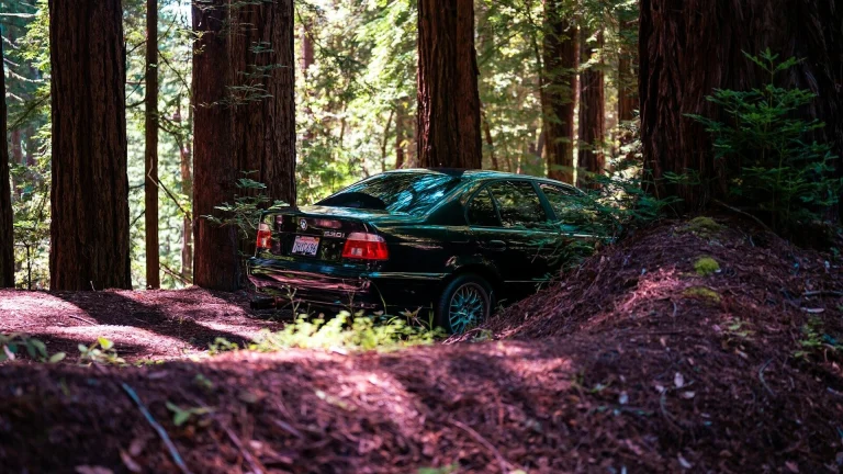 A car is parked in the redwood forest.