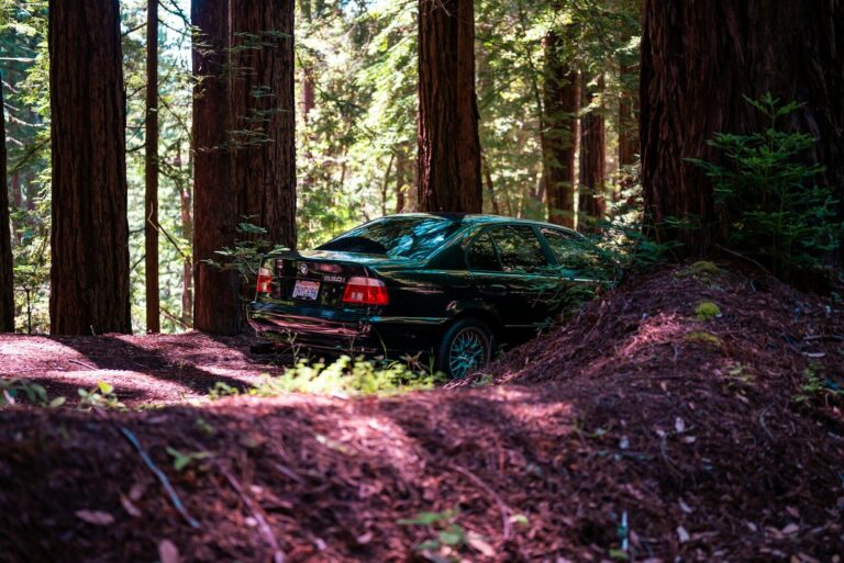 A car is parked in the redwood forest.