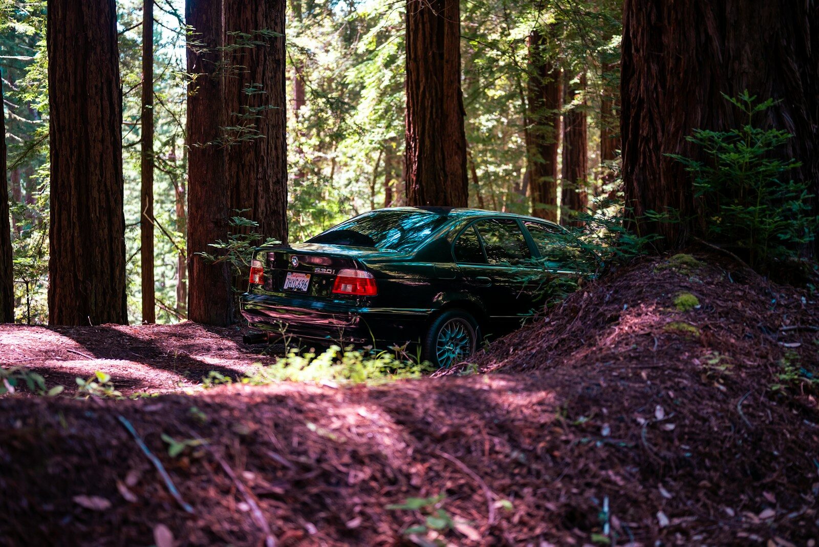 A car is parked in the redwood forest.