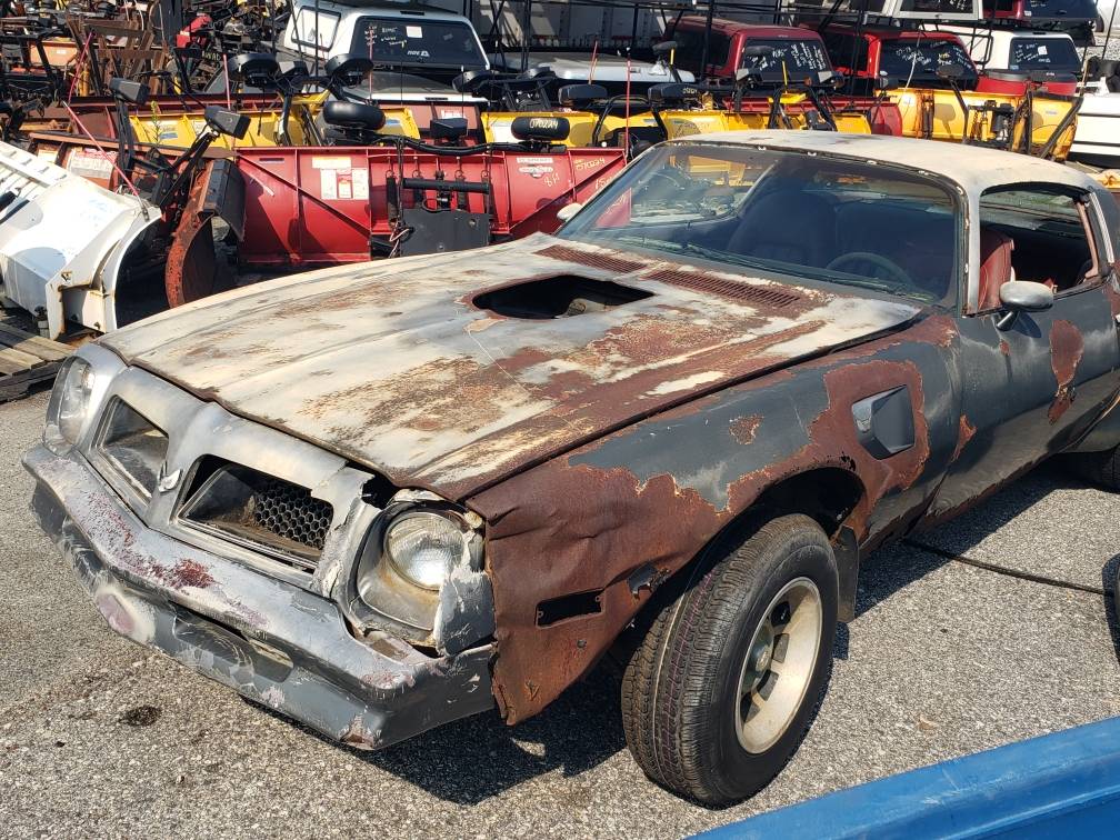 used-car-dealer-sells-a-1976-pontiac-trans-am-that-could-make-a-grown-man-cry-269420_1