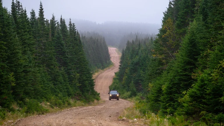 black suv on dirt road between green trees during daytime