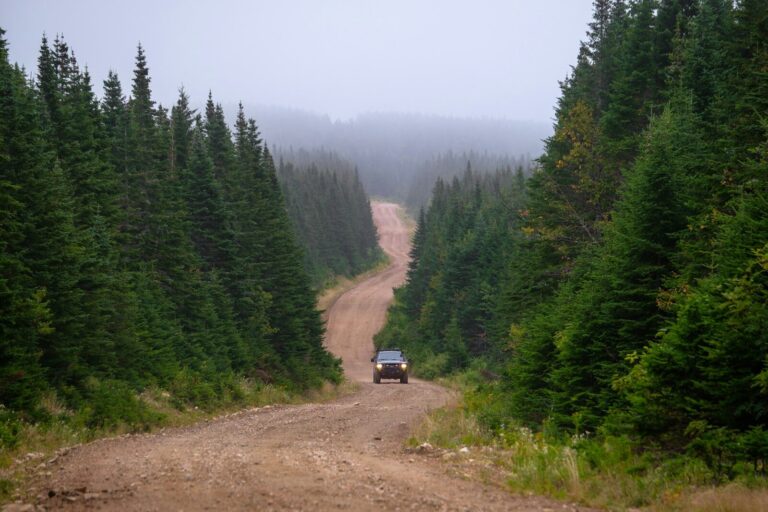 black suv on dirt road between green trees during daytime