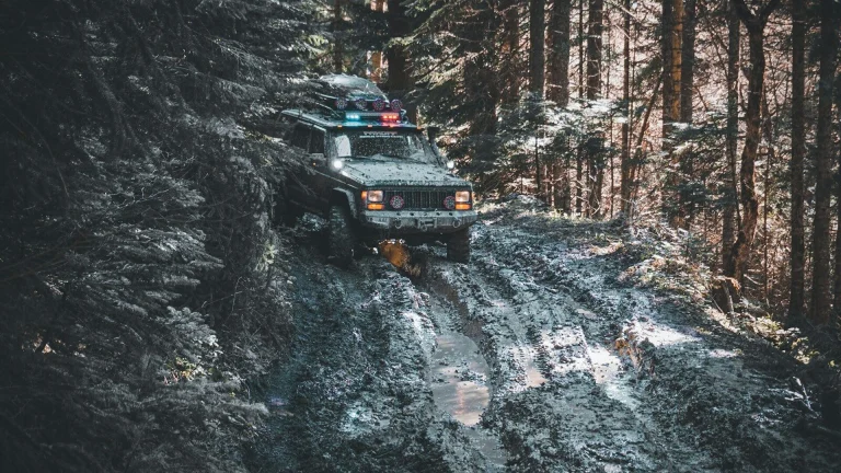 a truck driving through a forest filled with snow