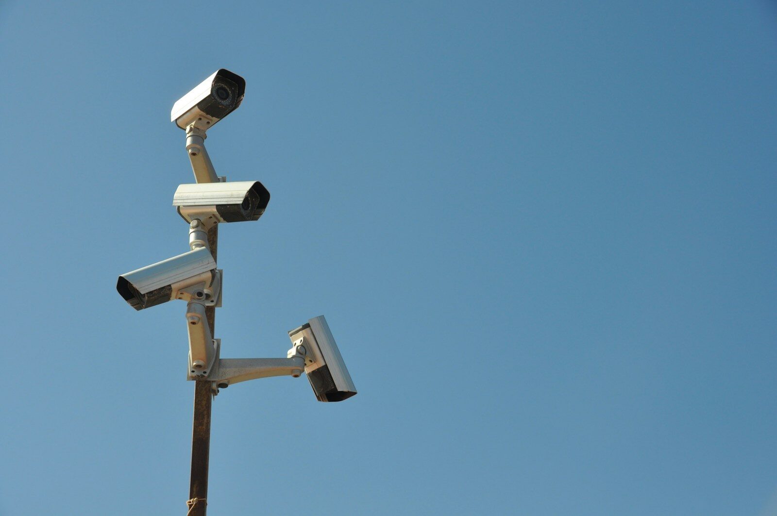 Feds Ran 300 Illegal Searches Through San Francisco’s License Plate Cameras