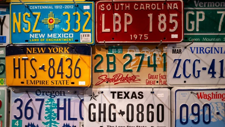 Collection of diverse state license plates