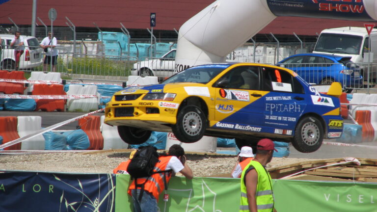 Alex_Fiorio_-_Transilvania_Rally_Show_2008_2