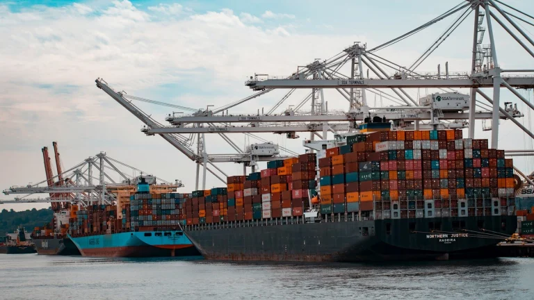 Shipping containers stacked at a U.S. seaport, similar to those CBP officers screen for stolen vehicle exports