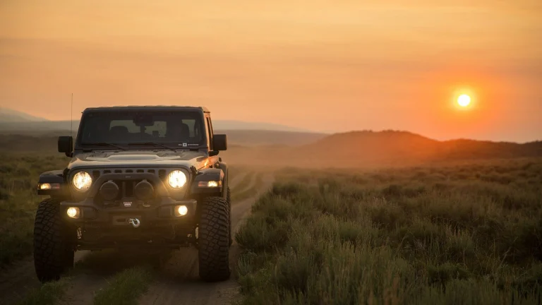 black jeep wrangler on green grass field during sunset