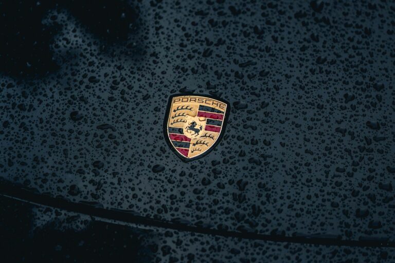 a close up of a car's emblem on a wet surface