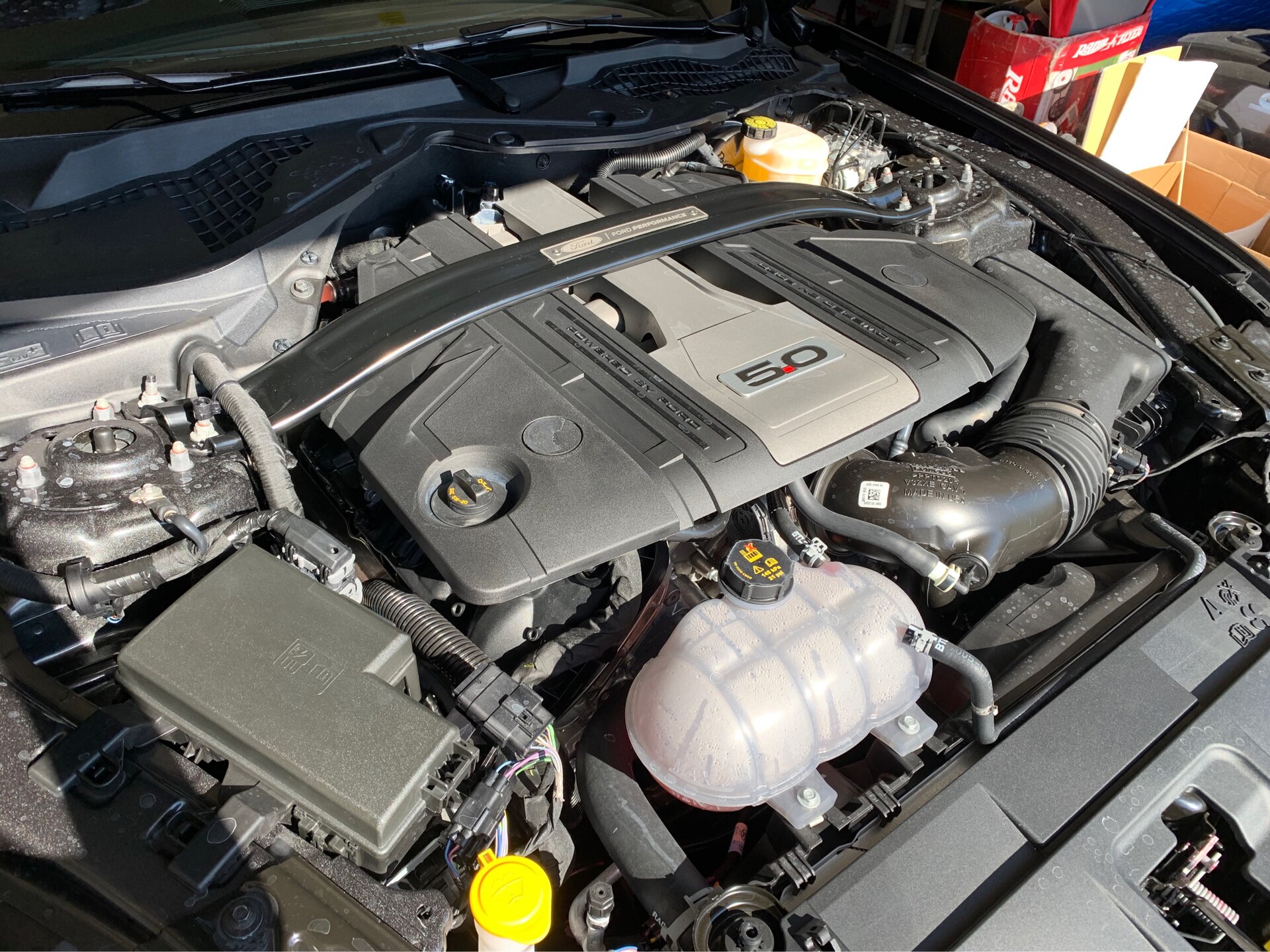 Ford Coyote 5.0-liter V8 engine, the dual-overhead-cam engine family used in the Mustang GT