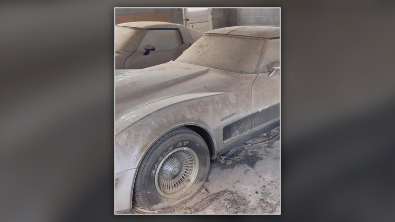 Dust-covered silver-beige 1982 Chevrolet Corvette Collector Edition with finned aluminum wheels and Goodyear Eagle GT tires parked in a garage beside another C3 Corvette