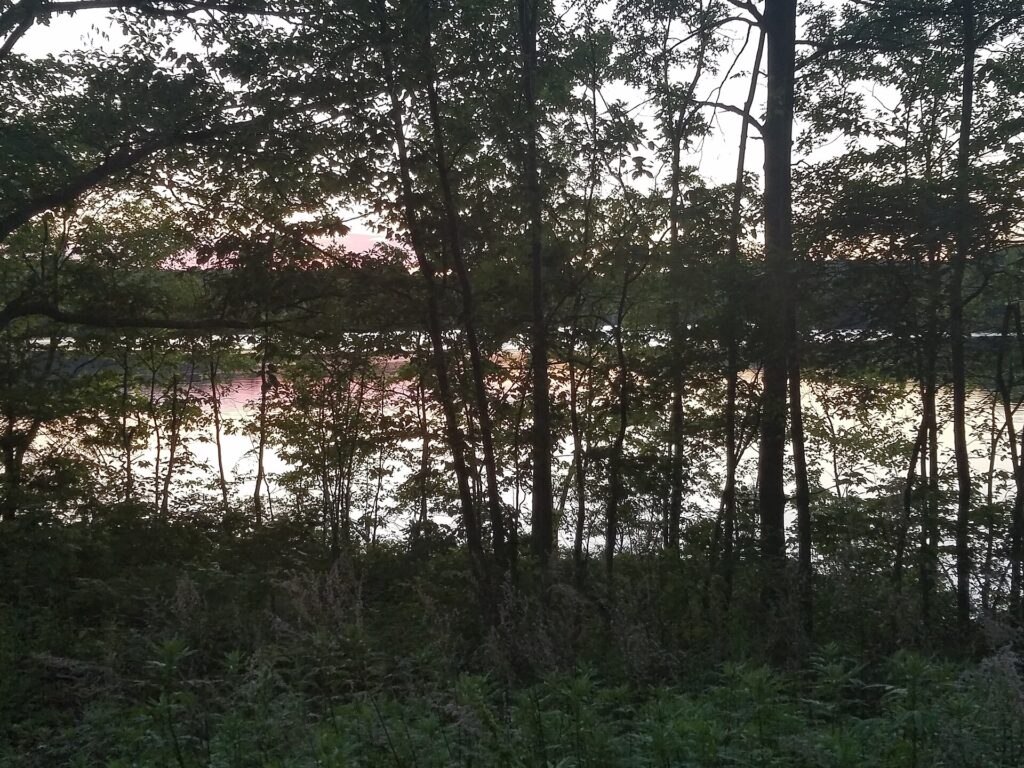 Clinton Reservoir seen through the trees at dusk along Clinton Road