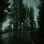 A dark, wet road curving through a dense forest at dusk