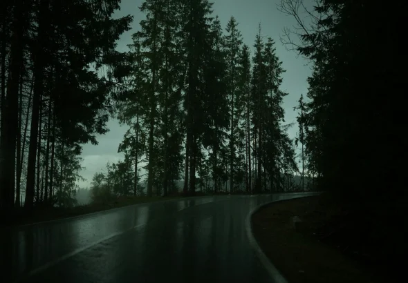 A dark, wet road curving through a dense forest at dusk